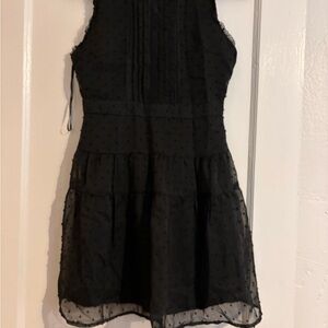 High Neck Lace Swiss Dot Black Sleeveless Mini Dress Francesca’s